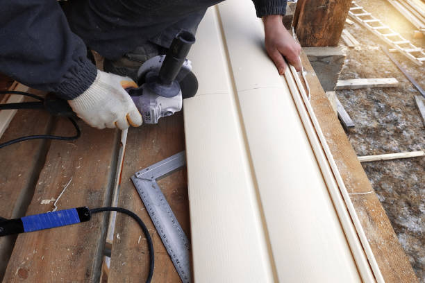 Best Siding Painting and Refinishing  in Lakemont, PA
