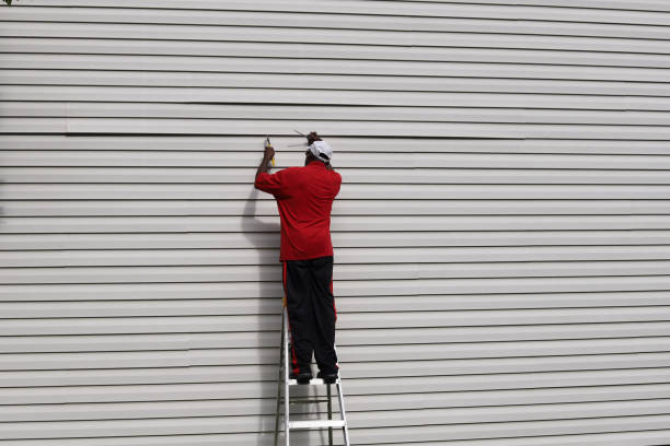 Best Siding Removal and Disposal  in Lakemont, PA